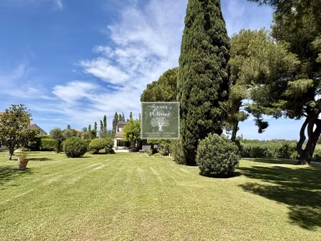 fourques. grande villa sur un magnifique parc