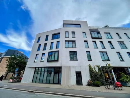 appartement à louer à paleisstraat 143 anvers (rbw18233)