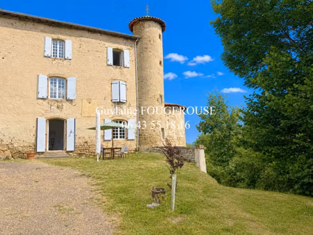 prestige aile d'un château plus d'un hectare de terrain