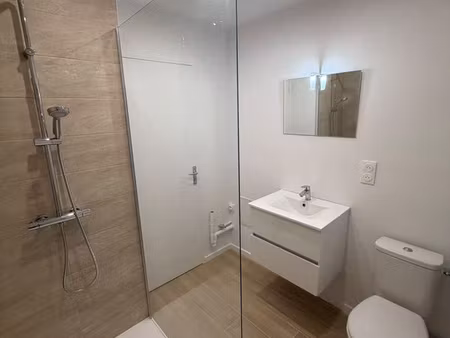 rouen rive droite – superbe t1 bis meublé de 50 m² rénové – parking privatif en sous-sol –