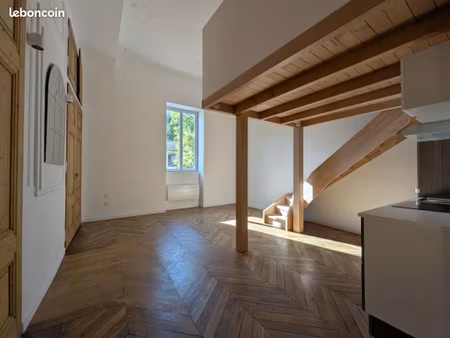 studio 1 pièce 45 m²