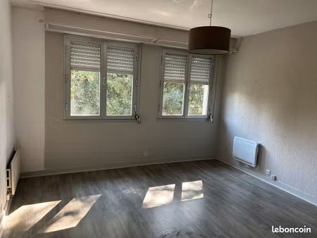 t1 30 m2 centre-ville jacobins / jardin des plantes