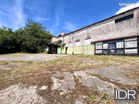 immeuble 750 m² sarrebourg