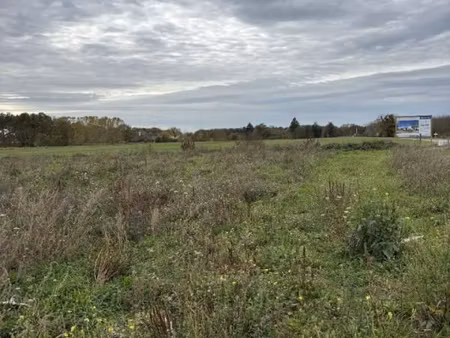 terrain 584 m² murs erigne