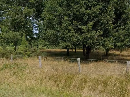 terrain 600 m² cestas