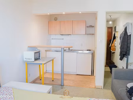 studio 1 pièce 20 m²