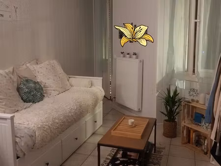 studio 1 pièce 15 m²