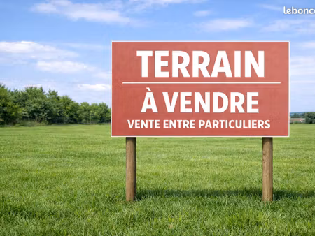terrain constructible