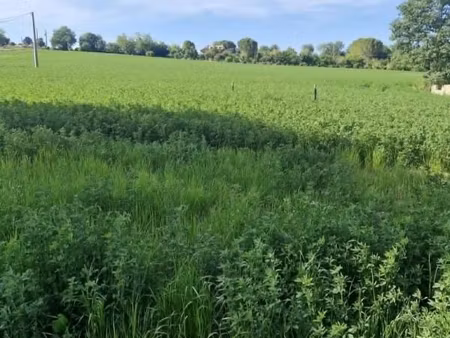 terrain 1 000 m² l isle jourdain