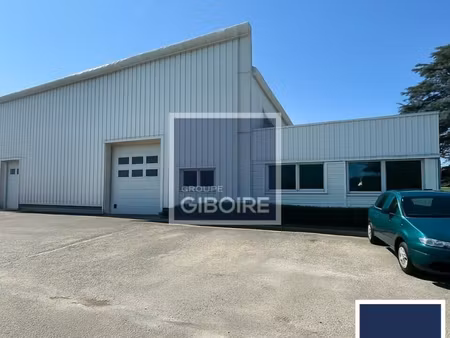 bureaux 216 m²