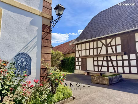 maison 464 m² lampertheim