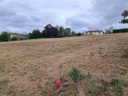 terrain constructible