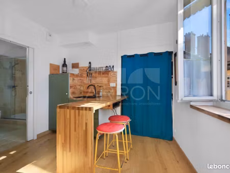appartement 1 pièce 29 m²
