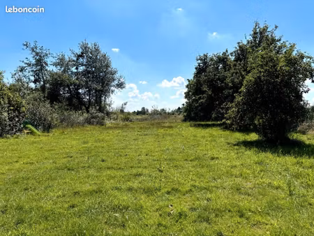 terrain 1 000 m² feignies