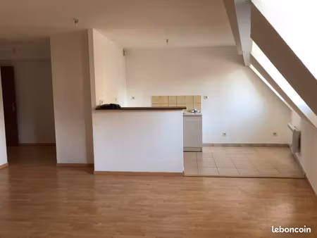 dole (centre ville) a louer appartement t3