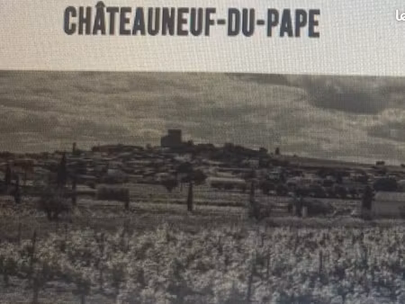 terrains avec pied de vignes aoc