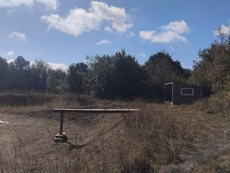 terrain
