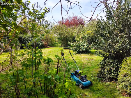 jardin arboré pour potager et loisirs