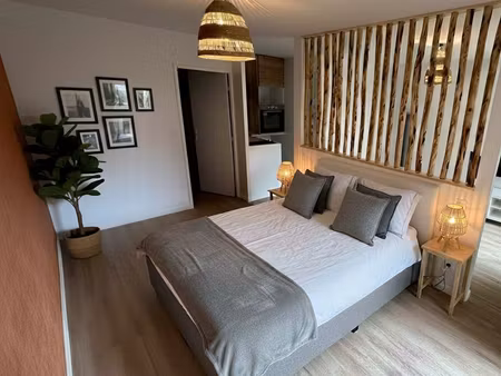appartement atypique 31m²