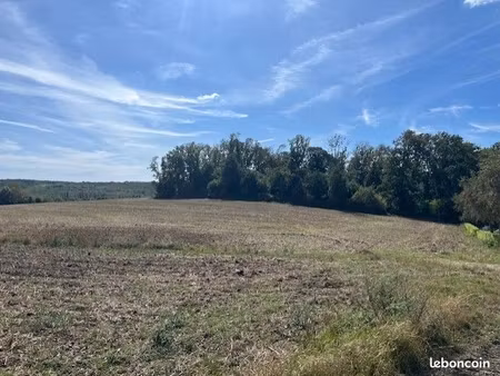 vente foret 1.76 hectare lapugnoy