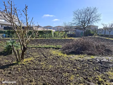 terrain constructible