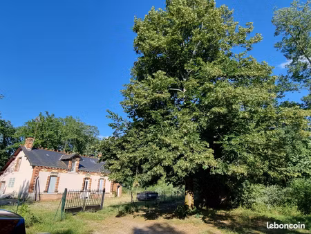pruniers en sologne - maison : séjour + 3 chambres + bureau + terrain