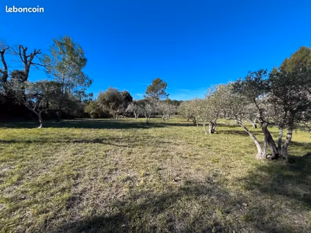 terrain 1 615 m² flayosc