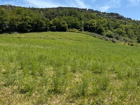 a vendre = terrain constructible