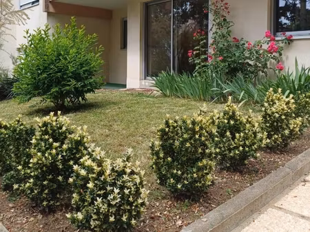 appartement 2 pièces 54 m²