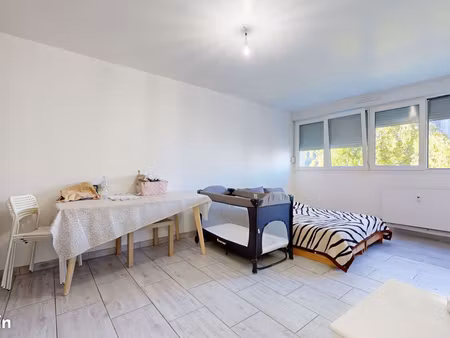 appartement 1 pièce 41 m²