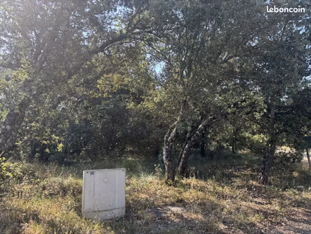 terrain constructible 2000 m² saint-martin-de-pallières