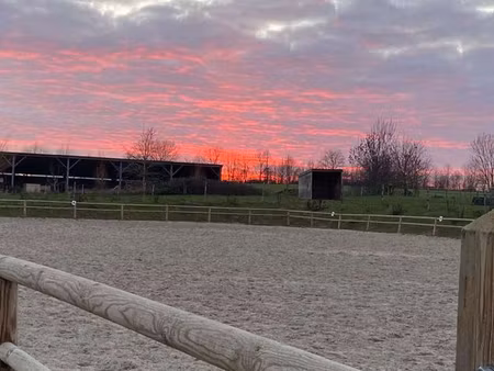 structure equestra a vendre