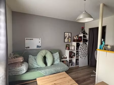 studio 1 pièce 20 m²