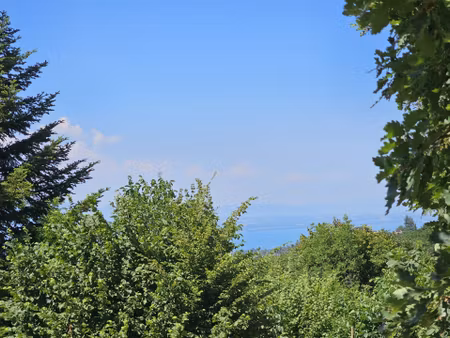 terrain viabilise de 155om2