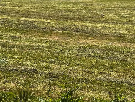 vente terrain 549 m² à vervant (17400), 32 391 €