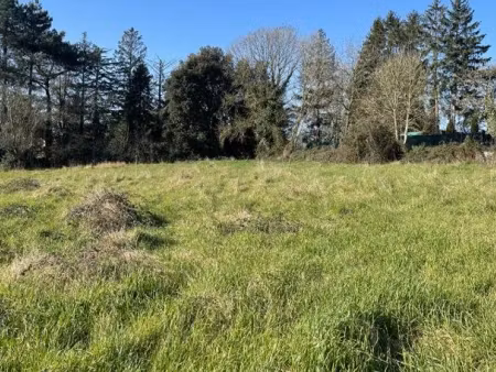 vente terrain 1187 m² à saint-amand-de-coly (24290), 35 000 €