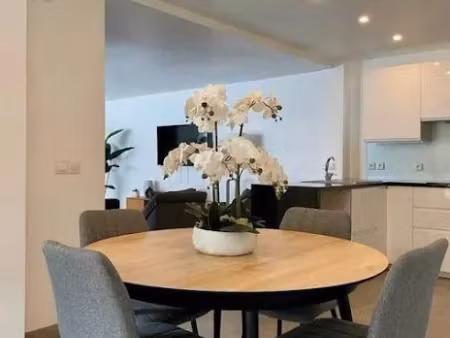 location meublée appartement 3 pièces 54 m² à villeurbanne (69100), 995 €