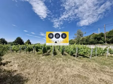 vente terrain 970 m² à arbois (39600), 49 000 €