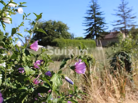 vente terrain 617 m² à saint-aubin (39410), 29 000 €