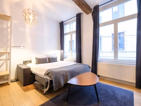 charmant studio à 2 pas de la grand place