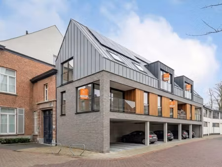 prachtige projectopportuniteit in hamme centrum