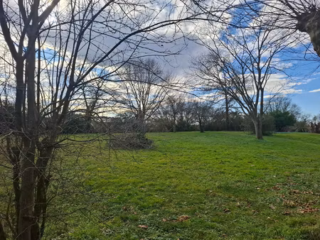 terrain saint jean de marsacq 1046 m²