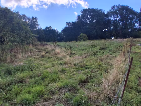 terrain avec foret privative ( 7000 m² )
