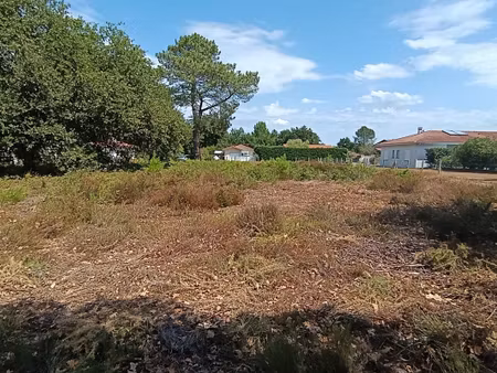 vente terrain 1284 m² biscarrosse (40600)