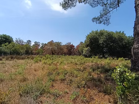 vente terrain 2305 m² biscarrosse (40600)