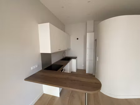 location appartement 2 pièces 53 m² à lyon 4 (69004)