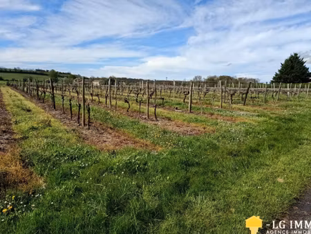 annonce terrain à vendre