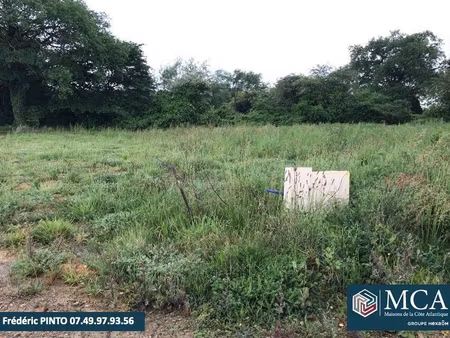 terrain constructible viabilisé à vendre