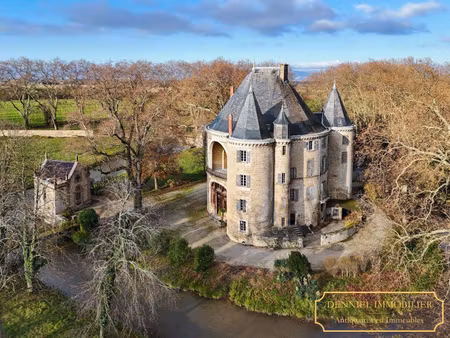 denniel immobilier - antiquaires en immeubles