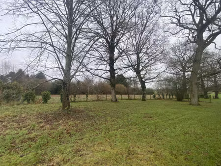 terrain constructible viabilisé à vendre